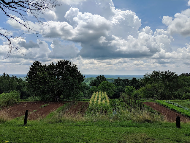 Монтічелло - маєток Томаса Джефферсона, третього президента США  (Thomas Jefferson's Monticello)