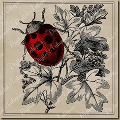 ladybugweb3