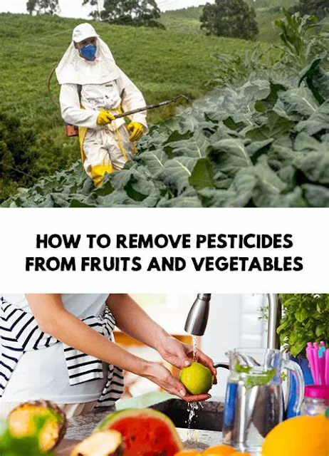 Simple Trick Removes Pesticides from Your Vegetables and Fruits