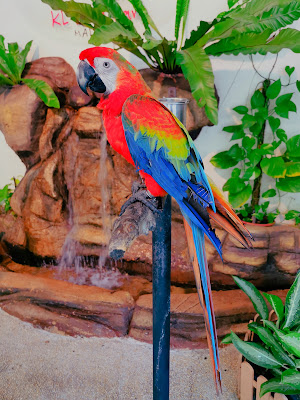 KL Bird Park - Welcome You and Your Family Now