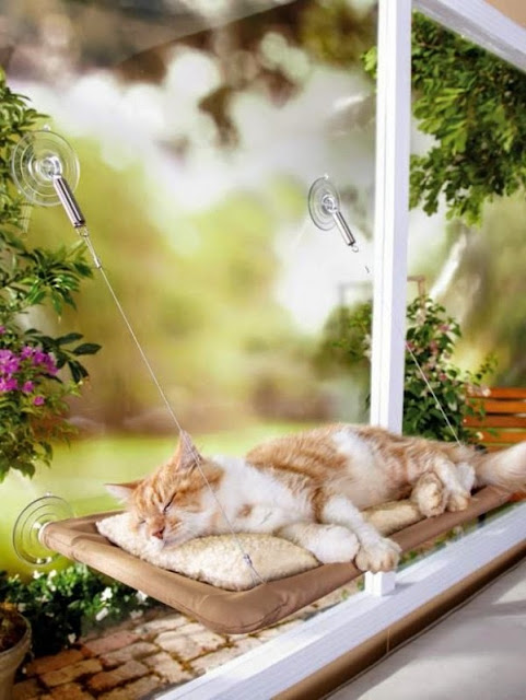 Fofura do Dia: decoração para pets. Blog Achados de Decoração