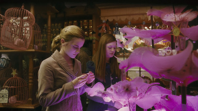 Hermione and Ginney are searching for some ingredient.