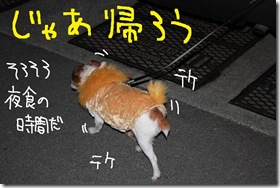 今日カズ０９１２２４　１５