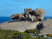 Kangaroo Island (kangaroo island )