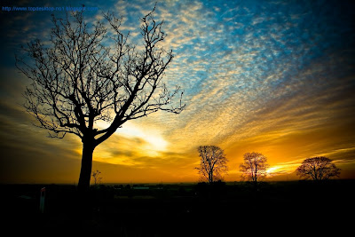 Free Beautiful Sunset The Wallpaper of Nature 