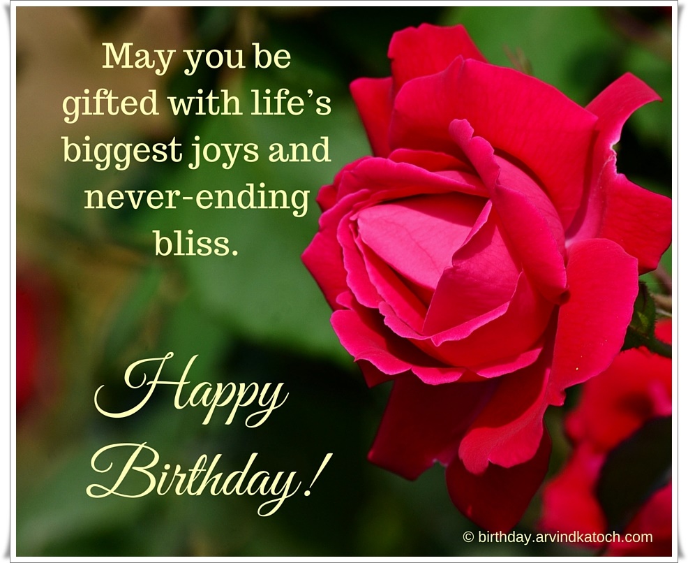 Beautiful Red Rose Birthday Card May You Be Gifted With Life S
