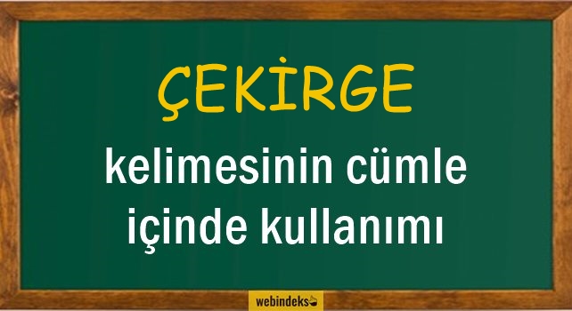 Çekirge İle İlgili Cümleler, Kısa Cümle İçinde Kullanımı, Örnek Cümle Kurmak