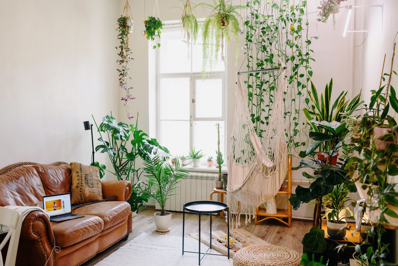 Different Ways To Decorate Home With Plants