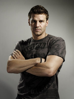 david boreanaz pictures