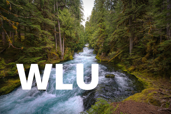 Definition of the phoneme WLU: image of River Flowing in the Forest