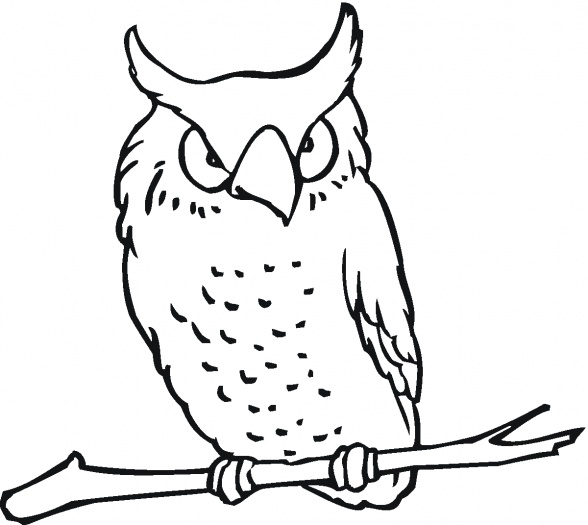 Baby Owl Coloring Pages