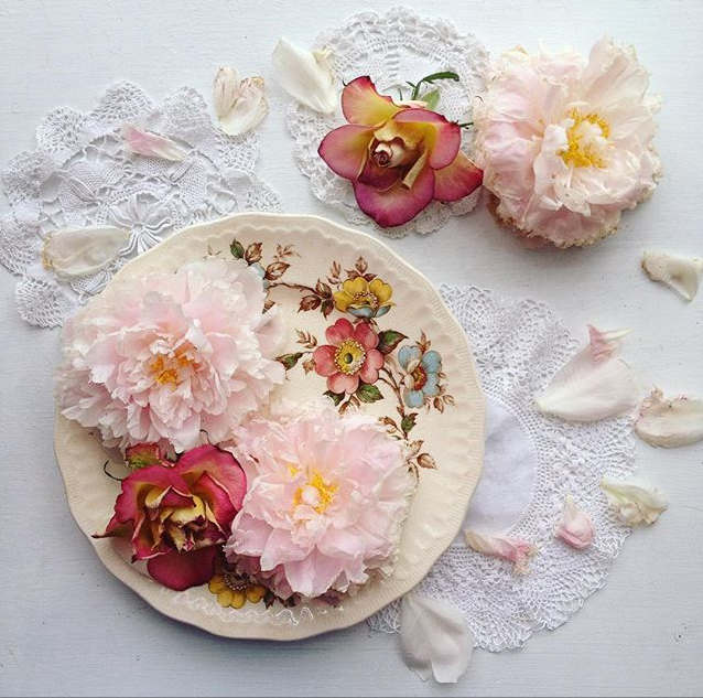 bymeeni, Madeline Norris, bymeeni on Instagram, #collectandstyle Instagram hashtag, floral plate and flowers
