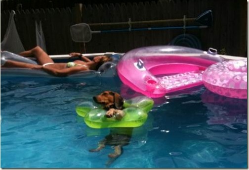 Summer