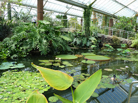 serres Kew Gardens Londres