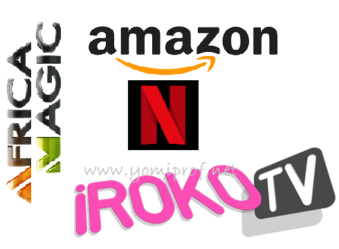 African Magic, Netflix, Amazon, iROKOtv Considers Leaving Nigeria