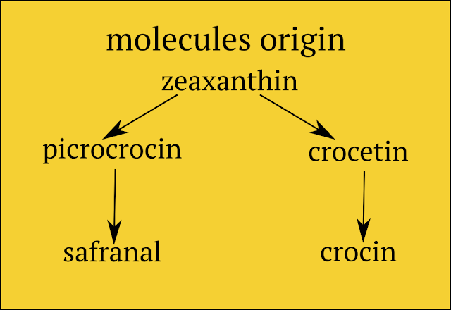 saffron's molecules origin