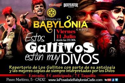 Estos Gallitos están muy Divos Estos Gallitos están muy Divos