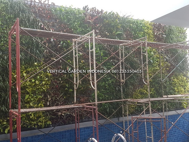 VERTICAL GARDEN INDONESIA SPESIALIS JASA PEMBUATAN VERTICAL GARDEN DI SERANG DAN DI SELURUH WILAYAH SERANG DENGAN TENAGA YANG PROFESIONAL DAN DAPAT DI PERCAYA YANG SELALU MENGUTAMAKAN SEBUAH MUTU DAN KUALITAS PEMASANGAN VERTICAL GARDEN/TAMAN DINDING, JASA TUKANG TAMAN VERTICAL SERANG, JASA VERTICAL GARDEN SERANG