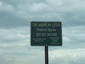 the american lotus, protected species, do not disturb, lotus garden club sign, michigan