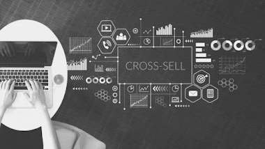Combine Upselling with Internet Marketing SEO Skills and Build your Success
