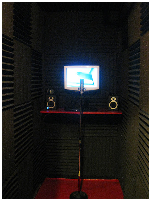 Recording Booth Foam1