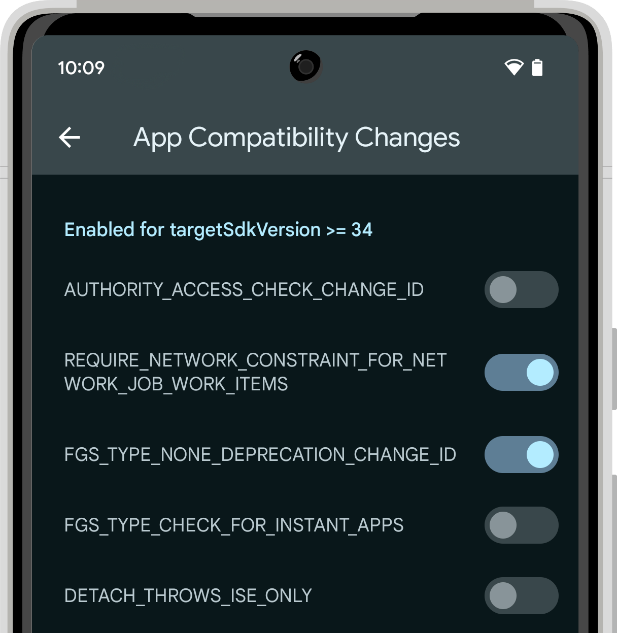 Partial screenshot of App Compatibility Changes in Developer Options