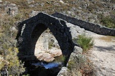 IMG_0050