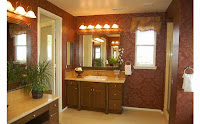 Bathroom Paint Color Design Ideas