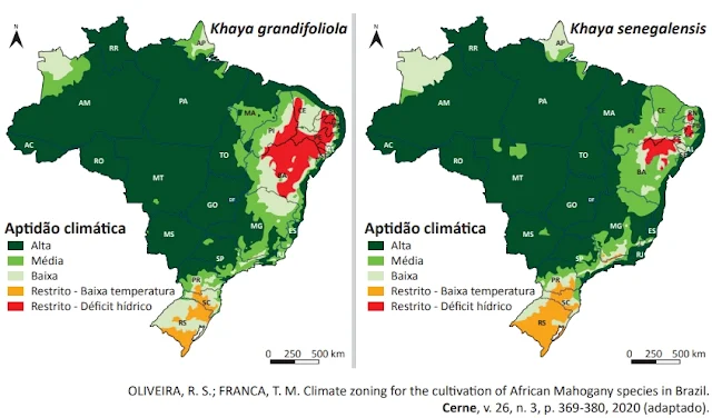Os mapas a seguir apresentam a aptidão climática das espécies de mogno-africano mais cultivadas no país: Khaya grandifoliola e Khaya senegalensis.