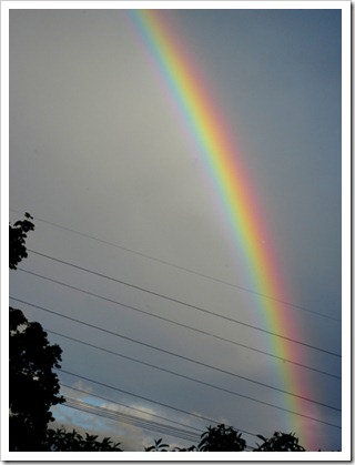 rainbowjune23