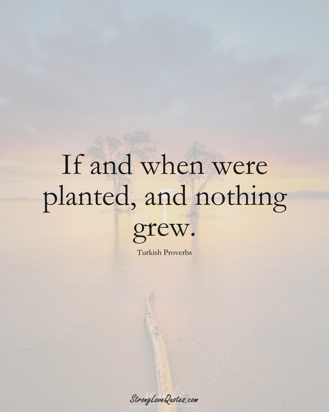 If and when were planted, and nothing grew. (Turkish Sayings);  #MiddleEasternSayings