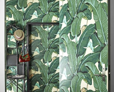 The Iconic Tropical Banana Palm Leaf Wallpaper Coastal Decor Ideas Interior Design Diy Shopping