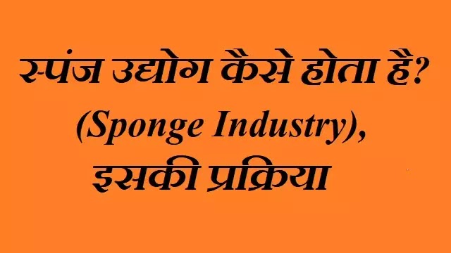 स्पंज उद्योग (Sponge Industry) कैसे होता है? इसकी प्रक्रिया|hindi