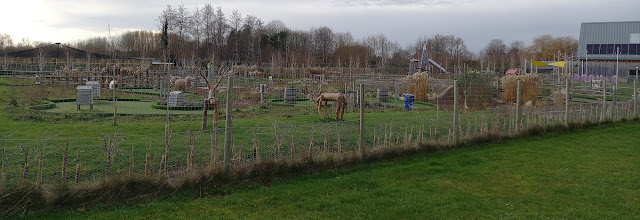 Farmyard Golf at Millets Farm in Frilford
