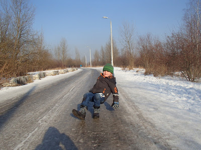 grzyby w styczniu, grzyby nadrzewne, spacer w zimie, zimowy las, smog w Krakowie