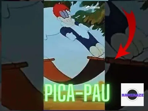 Pica pau picau