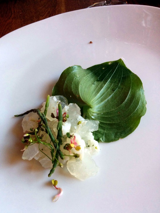 Sturgeon Marrow Salad, Sorrel & False Lily