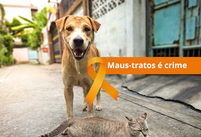 Abril Laranja: Uma Jornada de Consciência e Proteção aos Animais