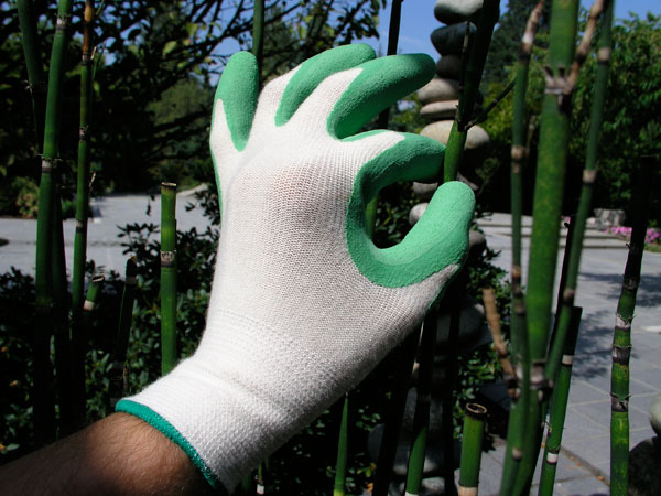 Bamboo Gloves1