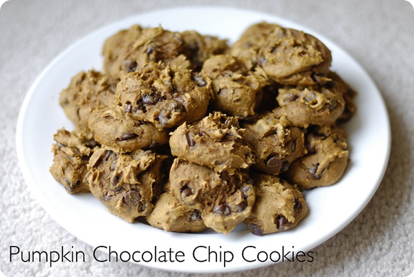 Pumpkin Chocolate Chip Cookies