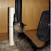 cat scratching post pics