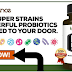  Improve your Immune System with Biotic Balance Probiotic