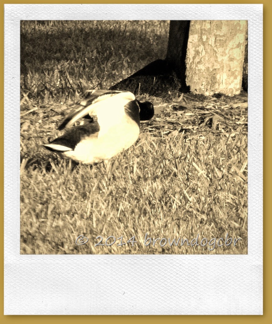 P1370332