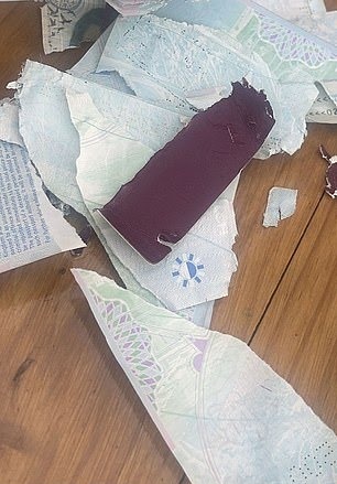 Woman Posts Photos Of Her Dog Who Shredded Passport Just Days Before Friend's Wedding And They're Hilarious