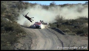 Rally Vuelta De La Manzana. Federico Villagra se lleva puesto un caballo a más de 130 Km/h / pistoneandoafull.blogspot.com