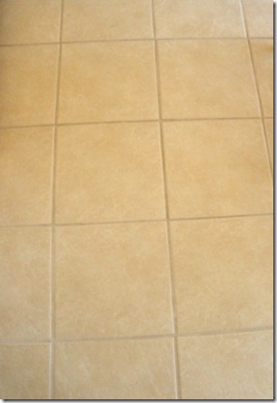 clean grout strip