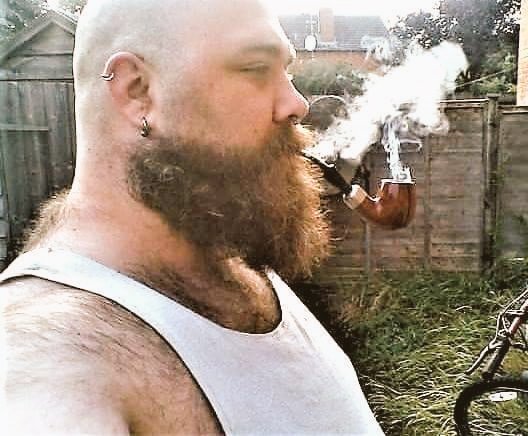 Sideview chest upward of bald bear sporting earrings in lobe/cartilage with beard wearing wife beater with hairy chest and back smoking pipe in backyard