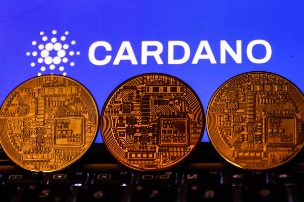 Cardano's Journey | Price Consolidation