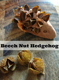 Autumn kids craft beech nut hedgehog