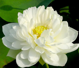 Chết rồi về đâu
